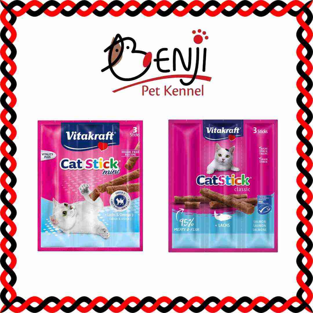 Best Pet Groomer
